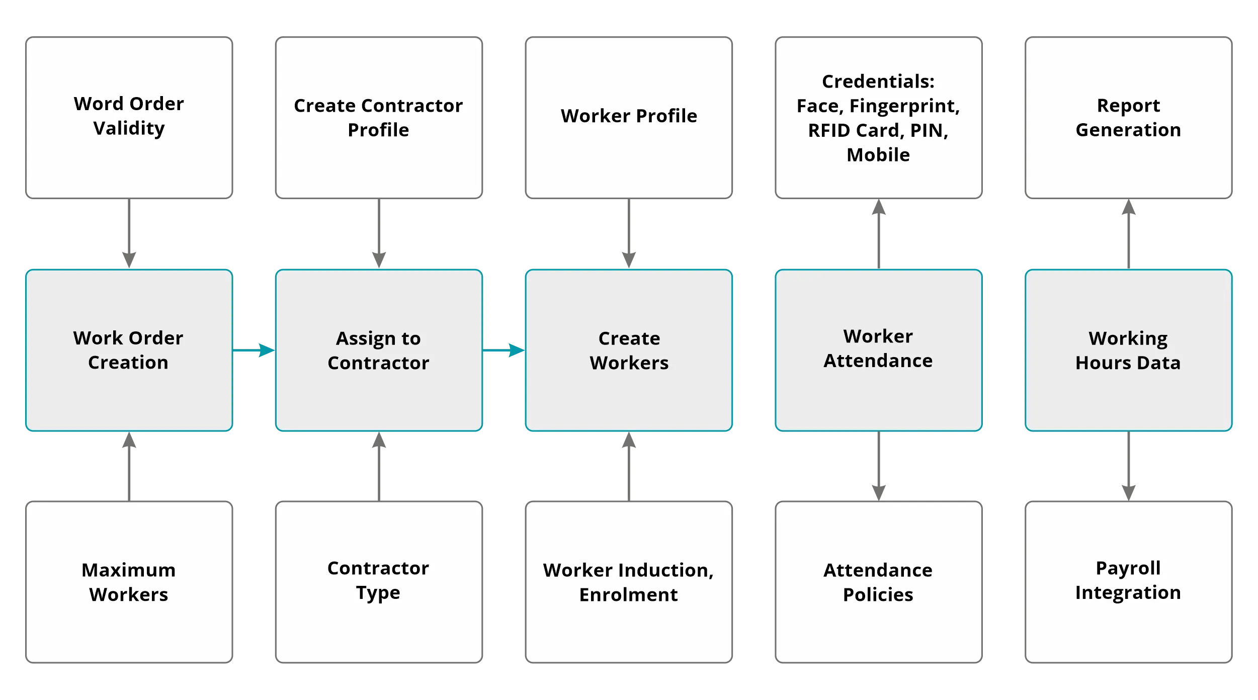 CWM_Process Diagram copy