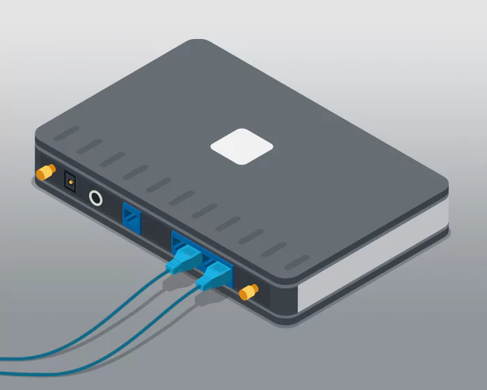 Ports and Trunks Supported